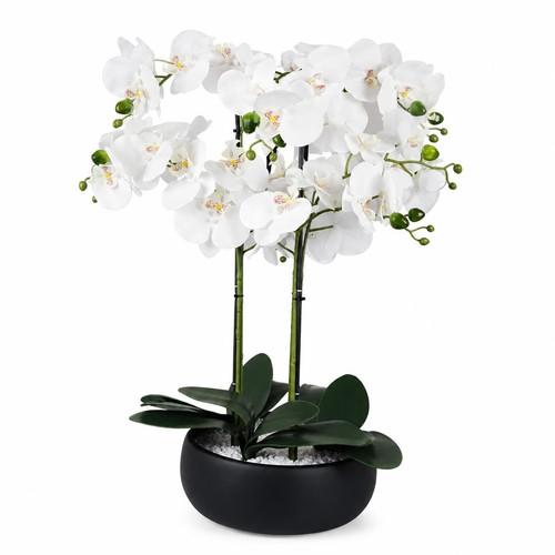 Artificial orchid 60cm - artificial,