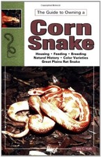 The Guide to Owning a Corn