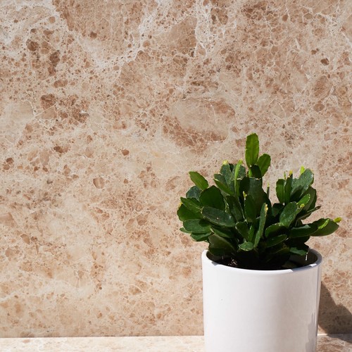 Cappuccino polished brown - cappuccino,
