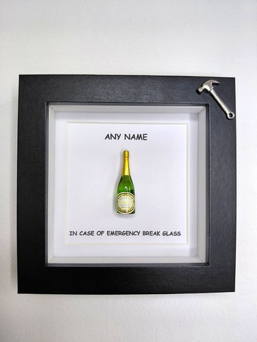 Fun novelty case - fun,