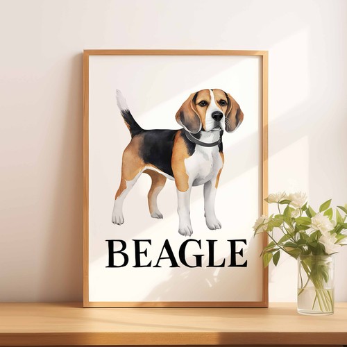 Beagle dog illustration - a4,