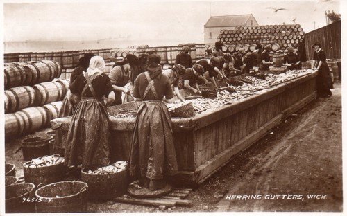 Wick caithness herring - wick,,