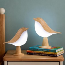 New  2 in 1 Small Desk Lamp