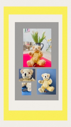 Canterbury bear 1988 - “canterbury, (6)