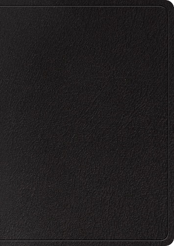 Esv study bible large print - study, bible,
