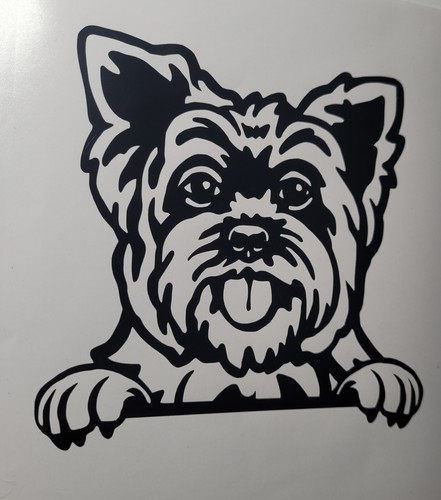 Yorkshire terrier dog - 1x,