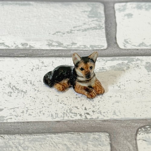 German shepherd puppy dog - shepherd,