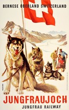 Jungfraujoch Switzerland Husky