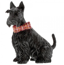 Border Fine Arts Jack Scottish Terrier  Dog Countryside Couture Figurine