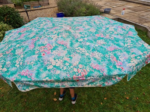 Vintage parasol umbrella - parasol,