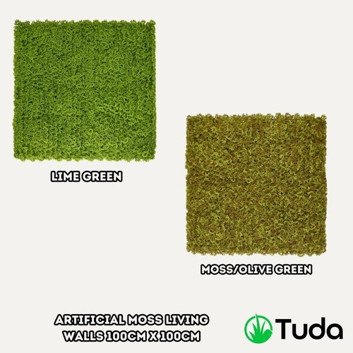 Artificial plant moss - moss, living