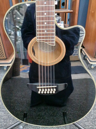 Yamaha apx 12 string - yamaha,