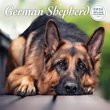 German Shepherd 2026 Deluxe