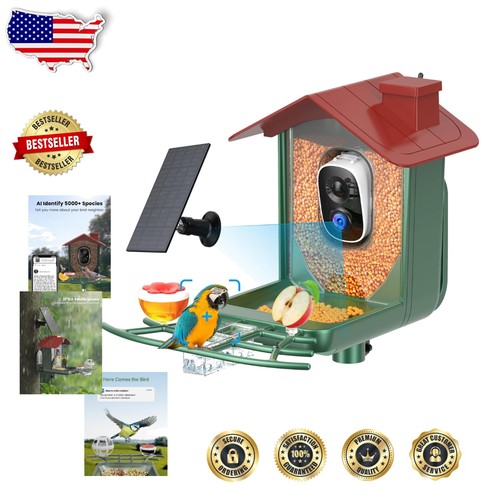 Outdoor bird feeder - bird, cam