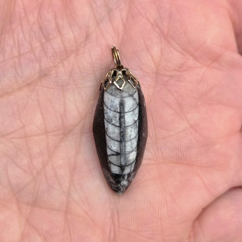 Vintage grey black - grey,