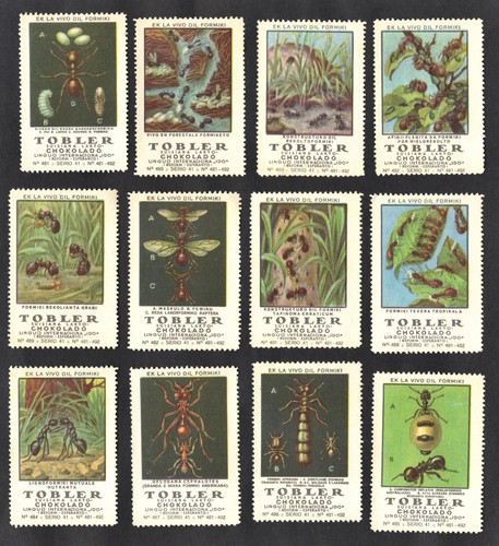 Life ants tobler 1922 - of,