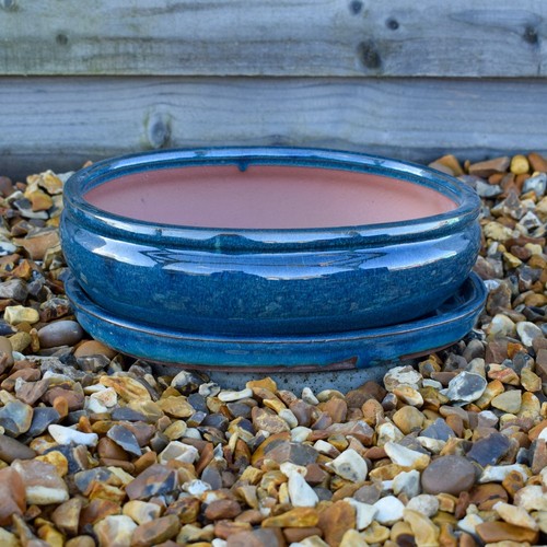Bonsai pot and - bonsai, ceramic