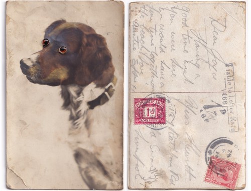 1924 liverpool postage due - liverpool,