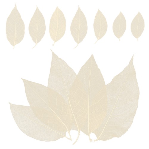 100pcs white reusable - white,
