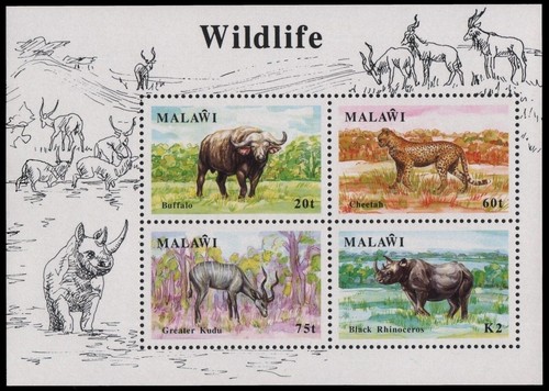 Malawi 1991 no block 74 - malawi,