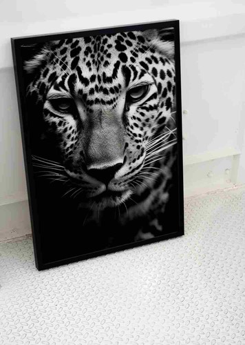 Wild jaguar cat eyes - wild,