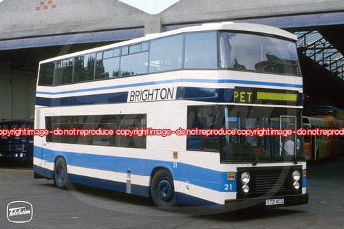 Bus photo brighton borough - photo,