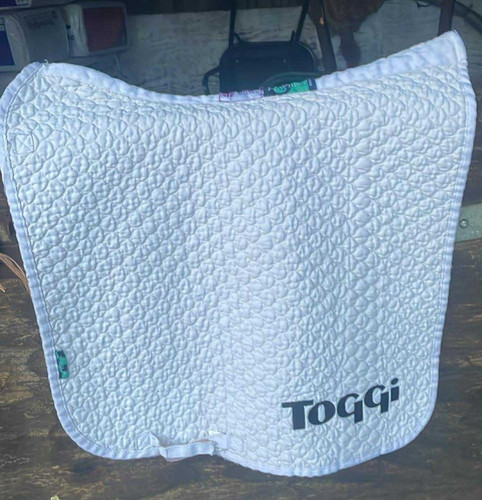 Large dressage nuumed - dr,