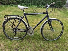 Python Paragon Hybrid Bike
