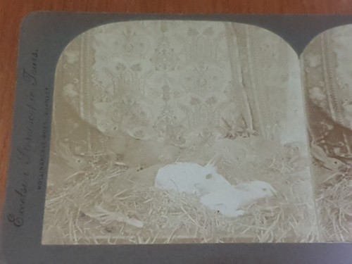 Excelsior stereoscope tours - excelsior,