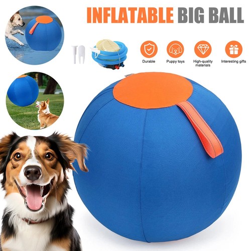 Herding ball anti - ball, horse