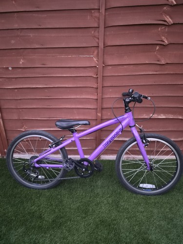 Ridgeback 20in purple unisex - ridgeback,