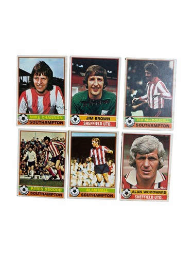 Southampton 1976 1977 - 1977, fa