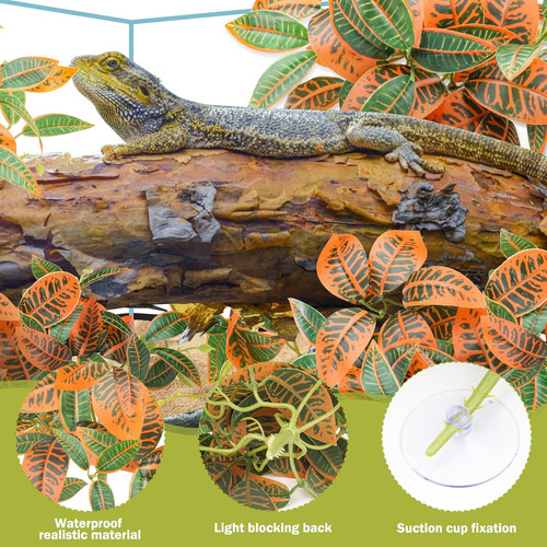 Pack reptile plants for - reptile,
