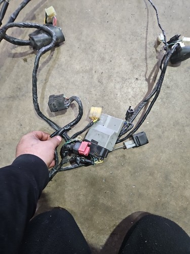 Honda varadero 125 loom and - 125,