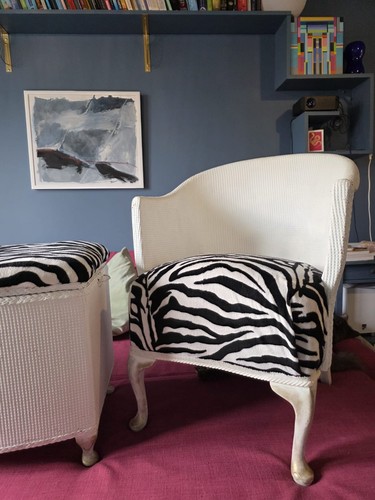 Zebra pattern lloyd - zebra,