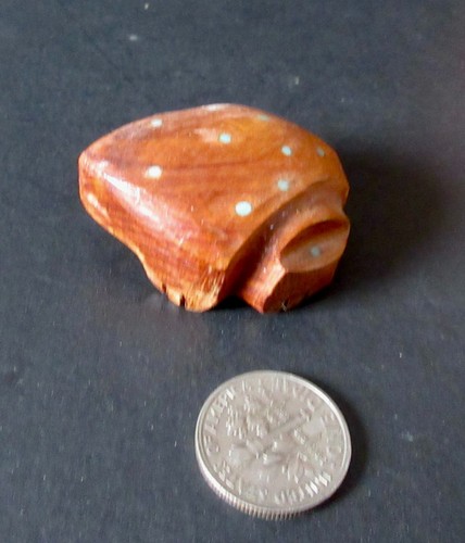 Unusual wood frog - unusual,