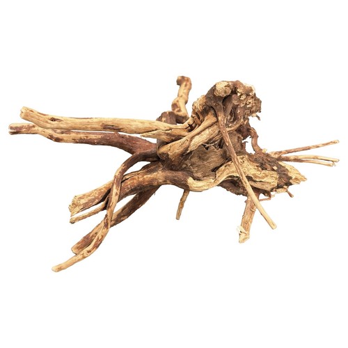Spider wood aquarium terrarium - wood,