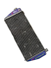 Rotax Max Evo Genuine Silver
