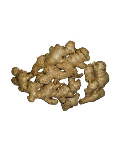 Fresh ginger root - ginger, raw