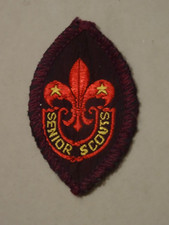 Senior Scouts Tenderfoot Badge