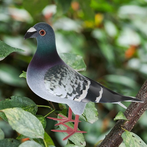 Novelty item simulated pigeon - simulated,