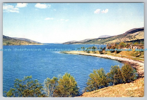 D317431 loch broom wester - d317431, broom.