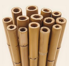 5ft Bamboo Canes Garden Plant