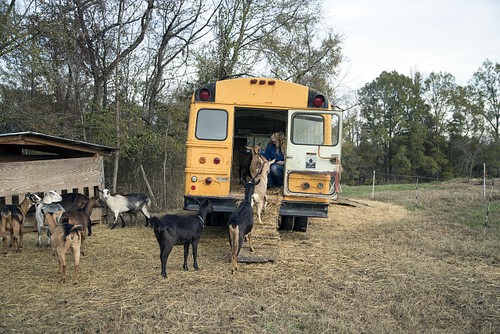Rougemont north carolina - north, 2017