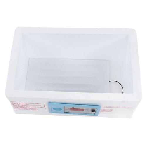 Egg incubator small - egg,
