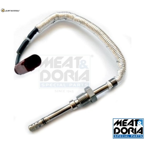 Exhaust gas temperature - exhaust, sensor