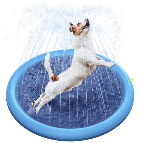 Dog mat water - play,