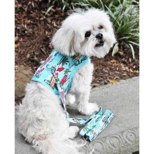 Surfboards palms dog - surfboards,