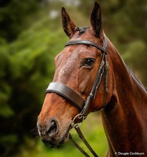 FSS Anatomical HUNTER Bridle