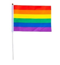 Pride Flag Rainbow LGBTQ+